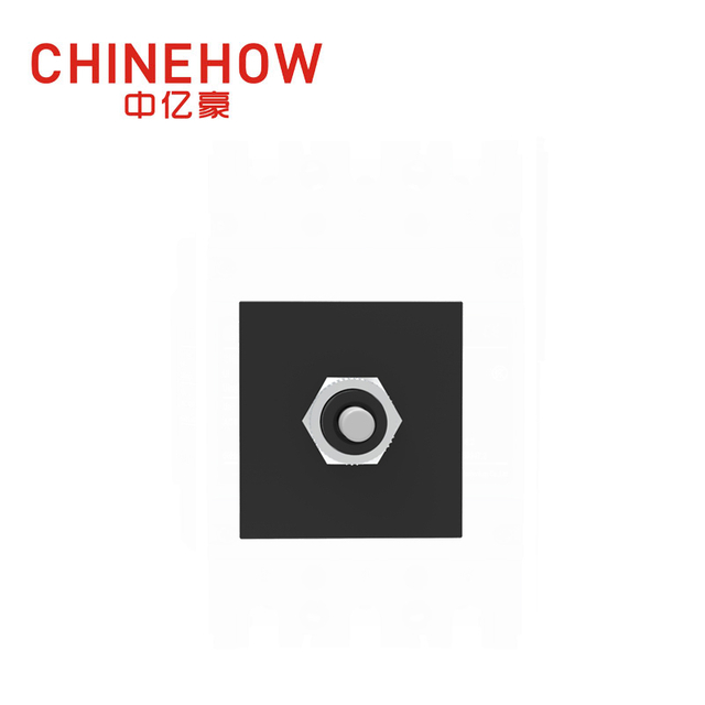 CVP-SM 液压磁力断路器按压复位执行器，带插片(QC250) 2P 黑色